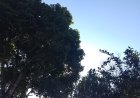 Sem previsão de chuva, domingo terá temperaturas amenas em Campo Grande e no sul do Estado