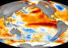 Aquecimento do Oceano Pacífico: Modelos climáticos indicam possível Super El Niño no fim de 2026