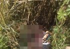 Fronteira: Mulher é encontrada decapitada em Pedro Juan Caballero