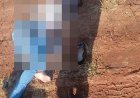 Tragédia na BR-163: Mulher morre em acidente de moto próximo a Itaquiraí