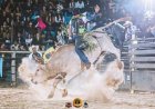 Copa de Rodeio MD Bulls promete agitar a EXPORÃ 2026 em Ponta Porã