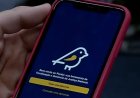 Aplicativo Pardal estará disponível para denúncias eleitorais a partir de 16 de agosto, nas eleições 2026