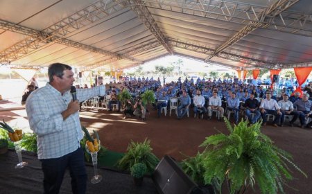 Referência em energia limpa, MS ganha seu primeiro complexo de transição energética com nova usina