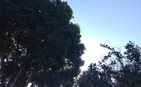 Sem previsão de chuva, domingo terá temperaturas amenas em Campo Grande e no sul do Estado