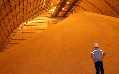 Cotação: Soja inicia julho em alta e melhora cenário para comercialização em MS