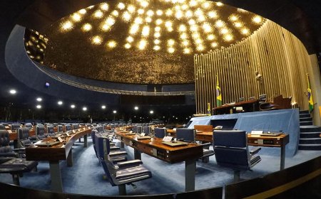 MP ganha força: Projeto sobre dívidas rurais deve ficar para depois do recesso parlamentar