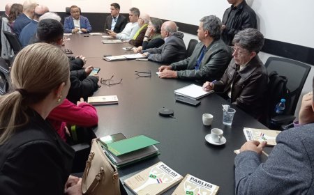 Integração e desenvolvimento: Câmara de Ponta Porã sedia sessão extraordinária do Parlim