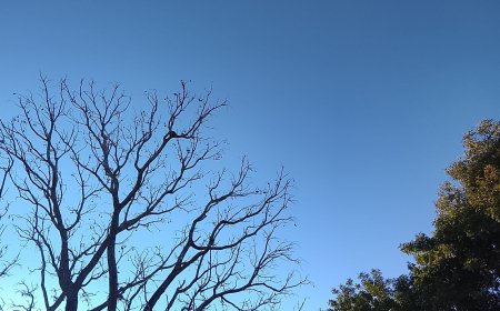 Confira: MS terá tempo seco, sol forte e baixa umidade nesta quarta-feira (15)