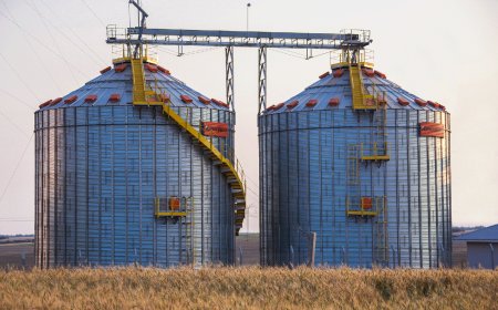 Recursos: BNDES aprova R$ 60,5 milhões para ampliar armazenagem da Coamo no Paraná