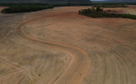 Ações: Fim da Moratória da Soja pode ampliar destruição da Amazônia