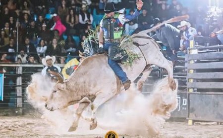 Copa de Rodeio MD Bulls promete agitar a EXPORÃ 2026 em Ponta Porã