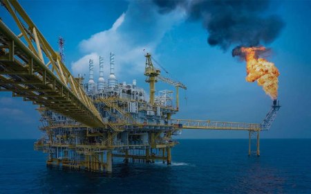Exportações: Produção de petróleo e gás no Brasil cresce 14% no 2º trimestre