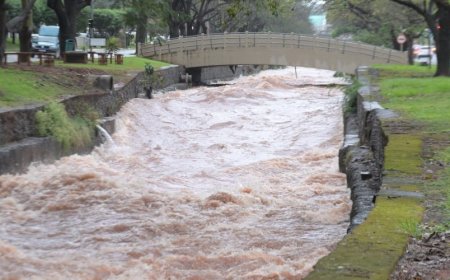 Chuva: Córrego Prosa transborda e alaga Avenida Ricardo Brandão