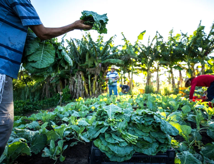 R$ 220 milhões: Finep vai pagar valor para inovações em agricultura familiar