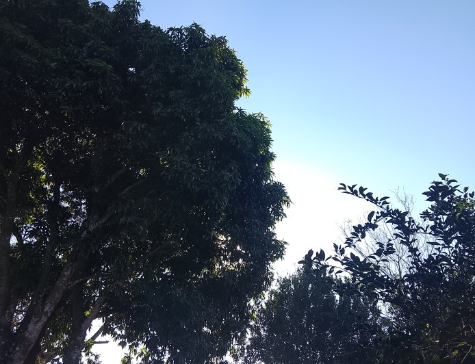 Sem previsão de chuva, domingo terá temperaturas amenas em Campo Grande e no sul do Estado