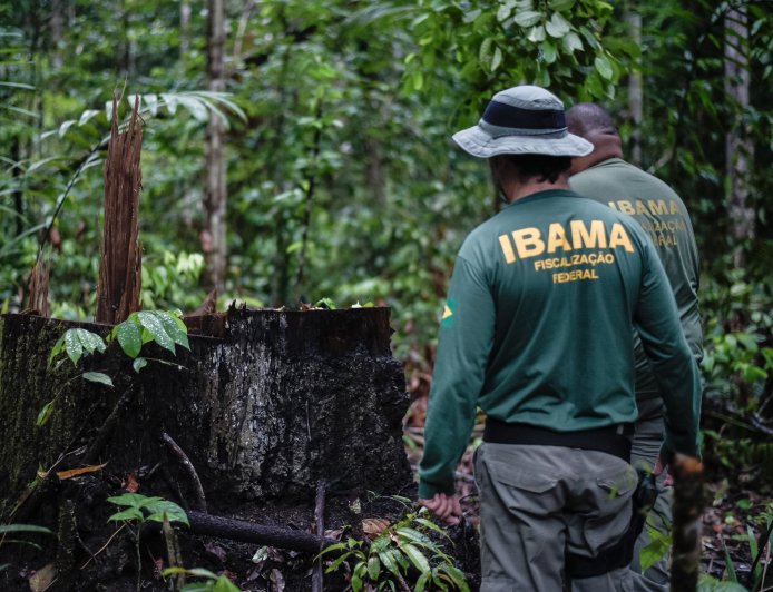 Até 50% de desconto: Dívidas ambientais com o Ibama poderão ser negociadas