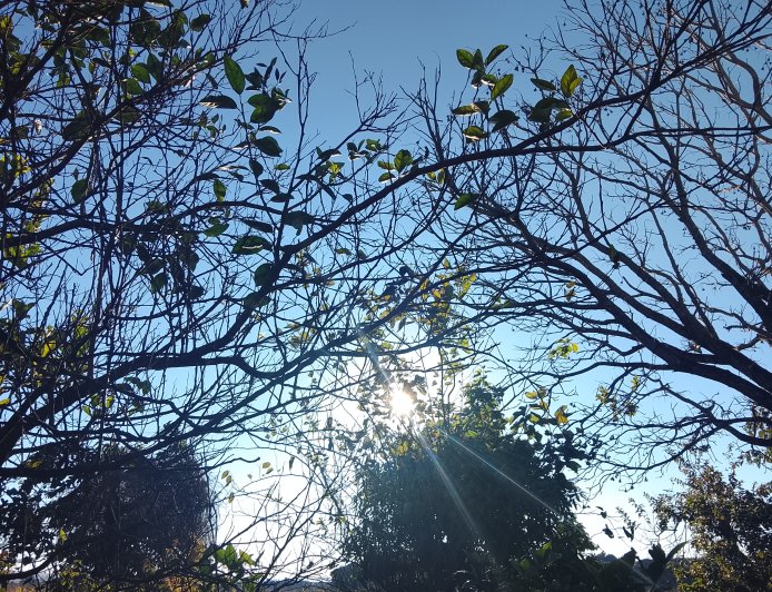 Clima: Terça-feira deve ser de tempo firme em regiões de MS