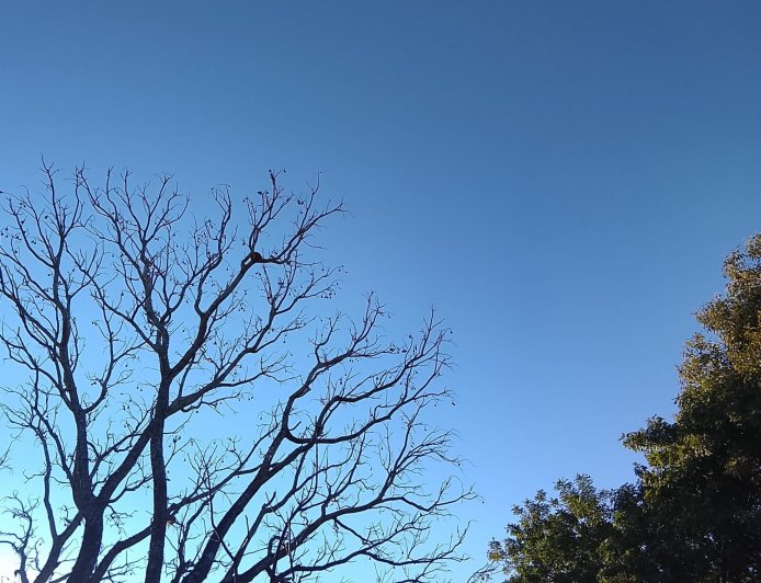 Confira: MS terá tempo seco, sol forte e baixa umidade nesta quarta-feira (15)