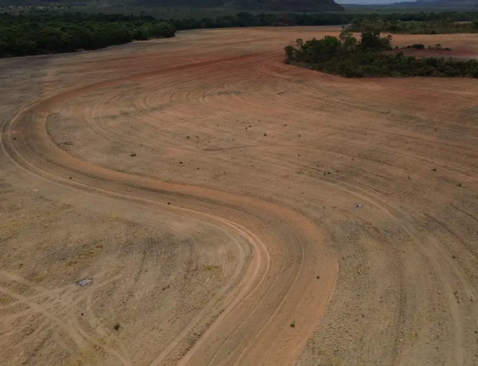 Ações: Fim da Moratória da Soja pode ampliar destruição da Amazônia