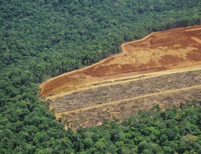 Diz MapBiomas: Crédito rural somou R$ 92,4 bilhões em imóveis com alertas ambientais
