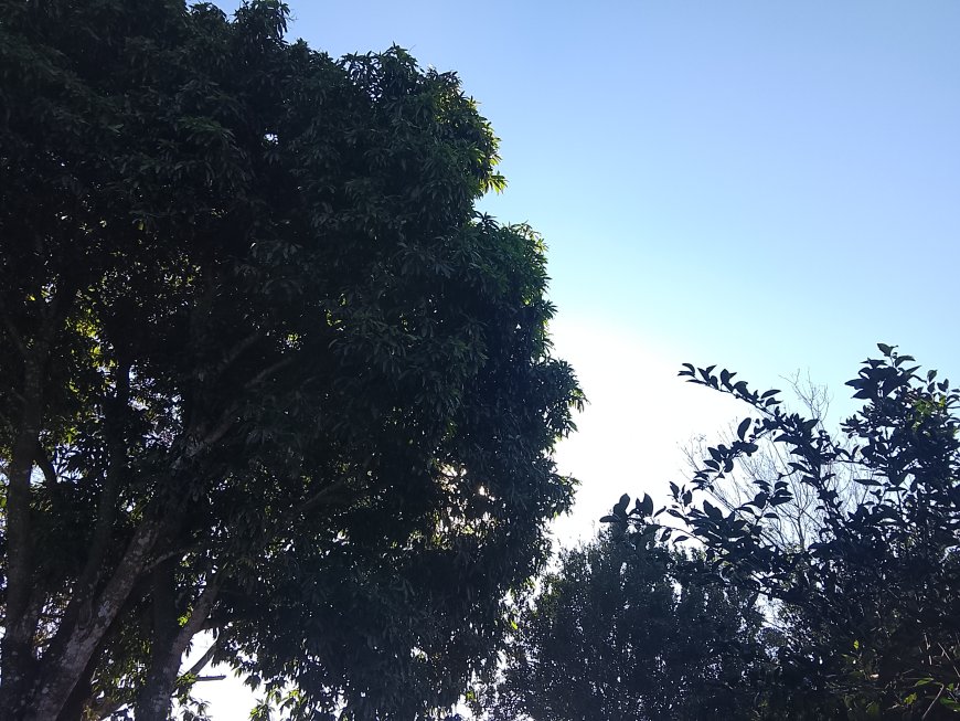 Sem previsão de chuva, domingo terá temperaturas amenas em Campo Grande e no sul do Estado