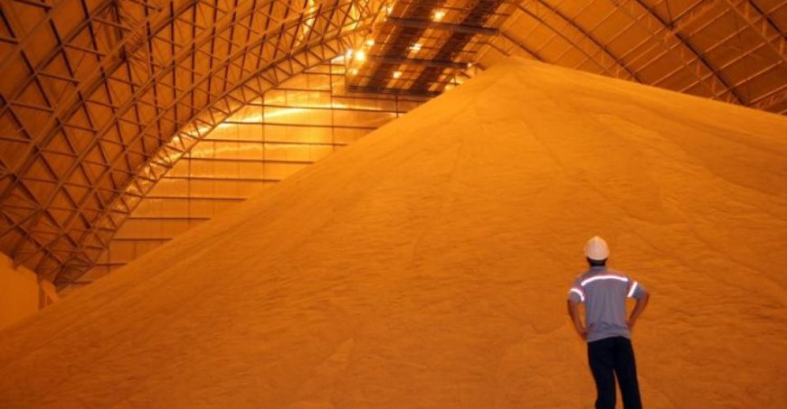 Cotação: Soja inicia julho em alta e melhora cenário para comercialização em MS