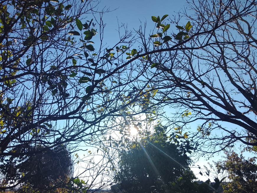 Clima: Terça-feira deve ser de tempo firme em regiões de MS