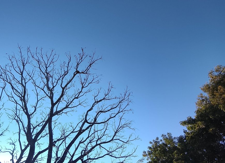 Confira: MS terá tempo seco, sol forte e baixa umidade nesta quarta-feira (15)