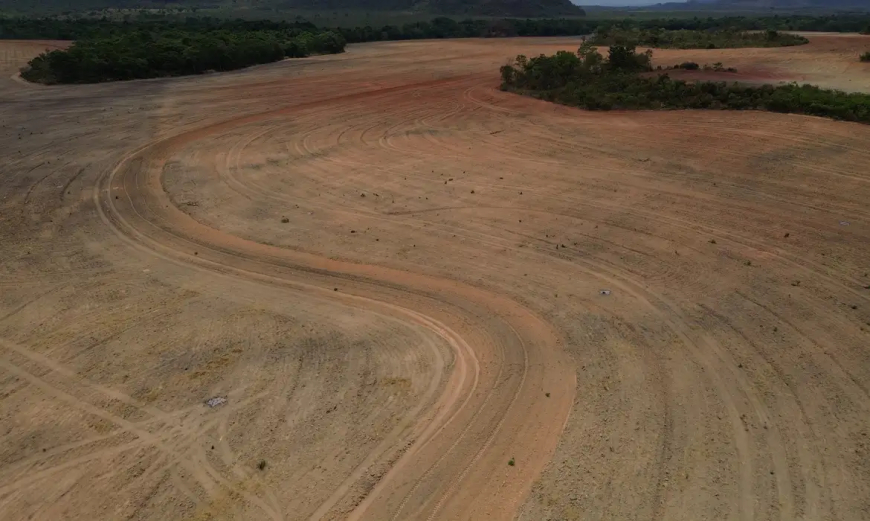 Ações: Fim da Moratória da Soja pode ampliar destruição da Amazônia
