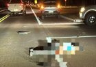 URGENTE: Mulher morre atropelada na BR-463, em Ponta Porã