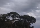 De olho: Frente fria chega a MS nesta segunda e traz queda nas temperaturas