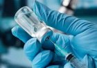 Multivacinação 2026: MS recebe 3,5 milhões de doses e participa da Campanha