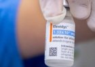 Pedido: Anvisa e Roche cancelam registro de Elevidys para doença rara