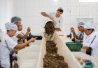 Acordo: Consulta sobre bens sustentáveis no acordo Mercosul–UE acaba na quarta