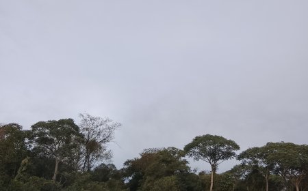 Domingo será de variação no tempo em Mato Grosso do Sul
