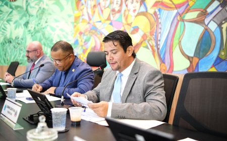Câmara Municipal de Ponta Porã realiza 25ª Sessão Ordinária nesta terça-feira, dia 18