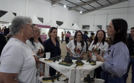 De autoria de Rodolfo Nogueira, Câmara aprovou de monitoramento que permite à vítima saber onde está o agressor