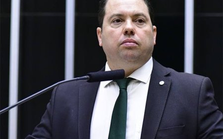 De autoria de Rodolfo Nogueira, Câmara aprovou de monitoramento que permite à vítima saber onde está o agressor