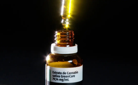 Em 2026: Autorizações para importação de cannabis aumentam 29%