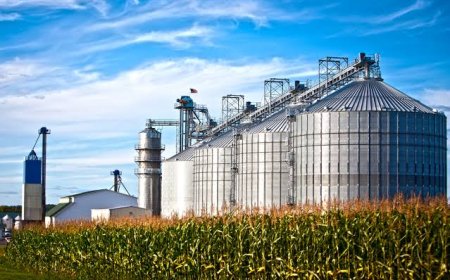Capacidade: MS amplia armazenagem de grãos, mas polos produtores ainda enfrentam déficit