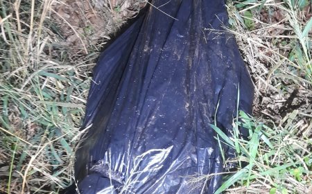 INVESTIGAÇÃO: Corpo é encontrado em área de mata em Zanja Pytã e pode ser de homem desaparecido