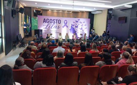 Câmara de Ponta Porã promove debate sobre os diferentes tipos de violência contra a mulher