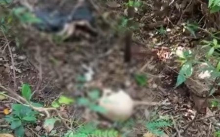 Corpo em decomposição é encontrado nas proximidades do Horto Florestal em Ponta Porã
