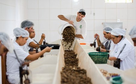 Acordo: Consulta sobre bens sustentáveis no acordo Mercosul–UE acaba na quarta