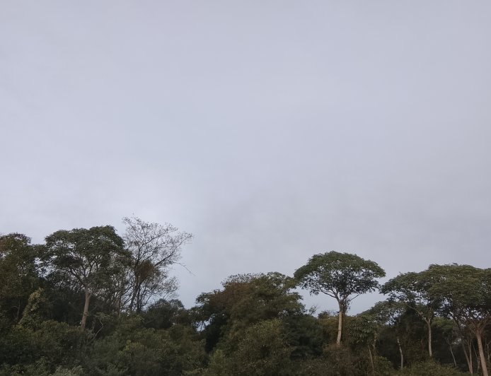 Domingo será de variação no tempo em Mato Grosso do Sul