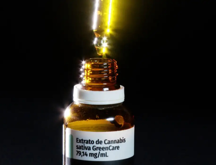Em 2026: Autorizações para importação de cannabis aumentam 29%