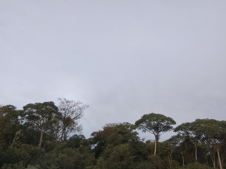 Domingo será de variação no tempo em Mato Grosso do Sul
