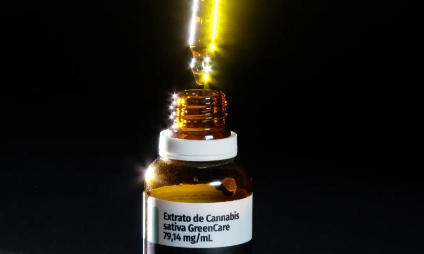 Em 2026: Autorizações para importação de cannabis aumentam 29%