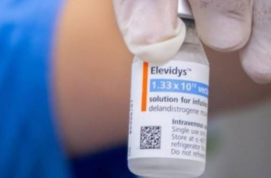 Pedido: Anvisa e Roche cancelam registro de Elevidys para doença rara