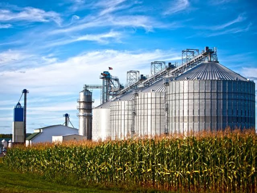Capacidade: MS amplia armazenagem de grãos, mas polos produtores ainda enfrentam déficit